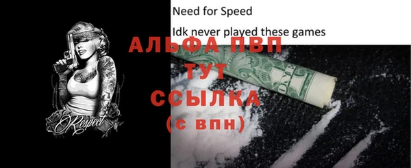 СК Каменка