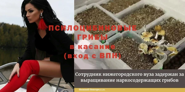 индика Касимов