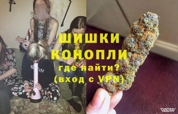 СК Каменка