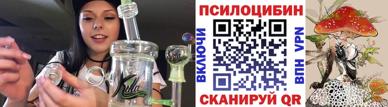 цены наркотик Киселёвск Псилоцибиновые грибы мицелий